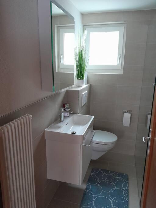 2 1/2 Zimmer Ferienwohnung Мейринген Экстерьер фото