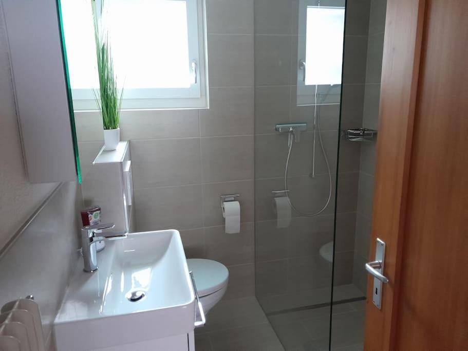 2 1/2 Zimmer Ferienwohnung Мейринген Экстерьер фото
